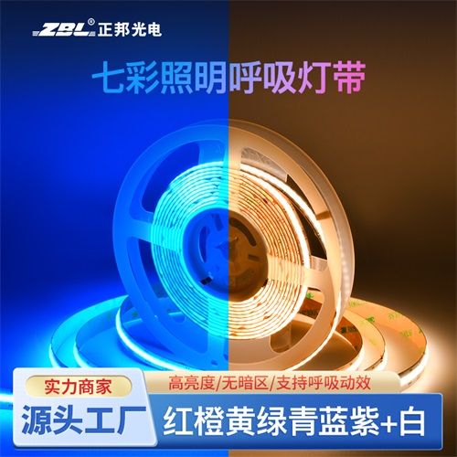 COB RGBCW (3000K+6000K) 六合一840灯每米氛围照明两用DC24V